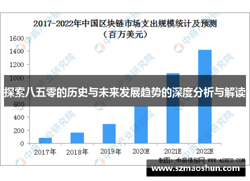 探索八五零的历史与未来发展趋势的深度分析与解读